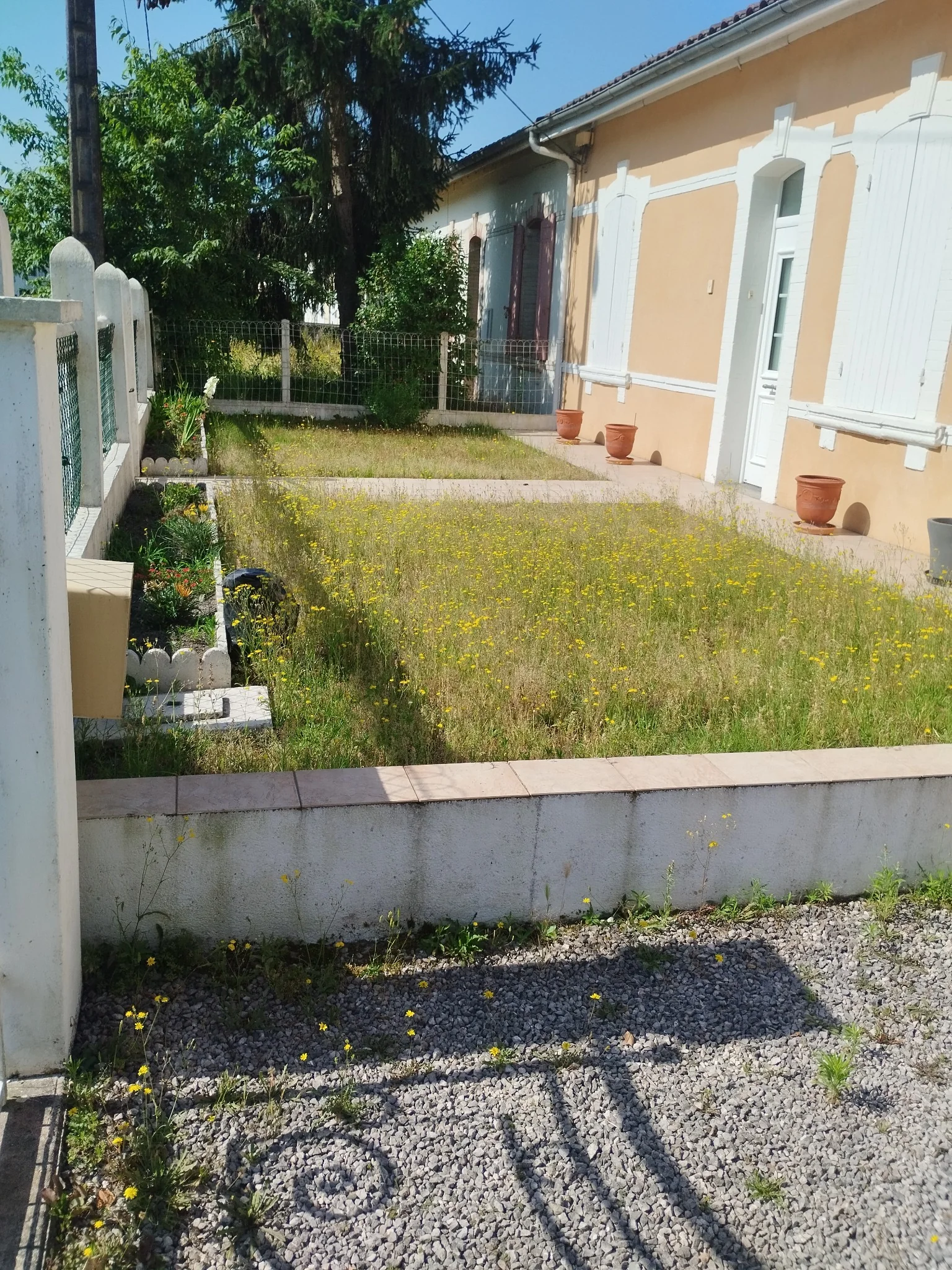 Petit jardin avant la tonte
